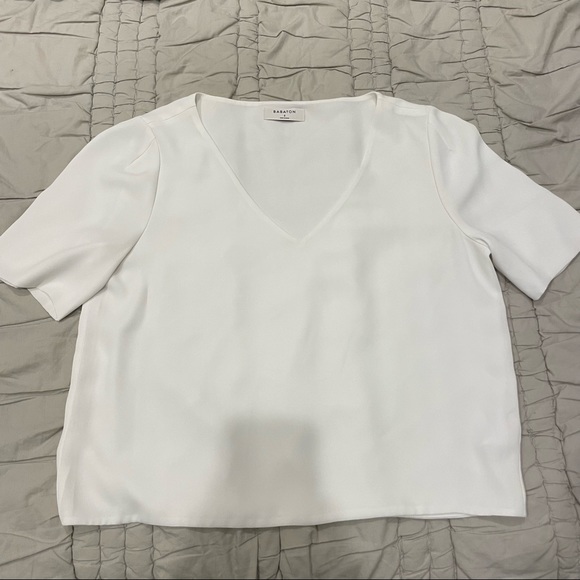 Babaton Tops - Babaton Chiffon Short Sleeve V-Neck Blouse
